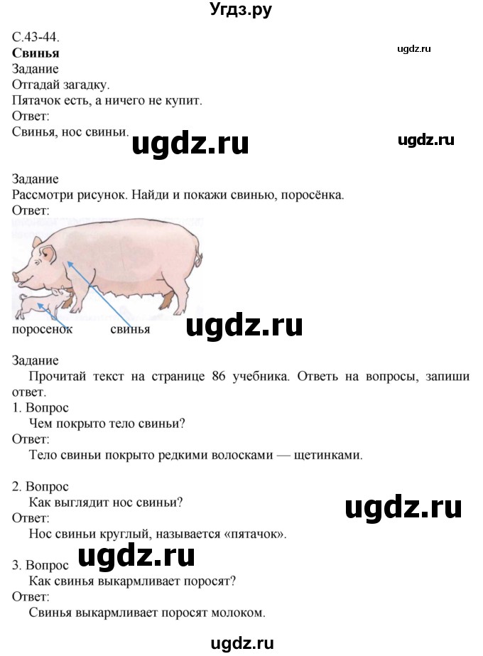 ГДЗ (Решебник) по миру природы и человека 3 класс (рабочая тетрадь) Матвеева Н.Б. / страница / 43