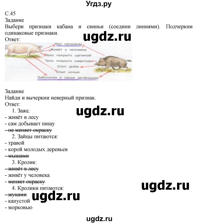 ГДЗ (Решебник) по миру природы и человека 3 класс (рабочая тетрадь) Матвеева Н.Б. / страница / 45