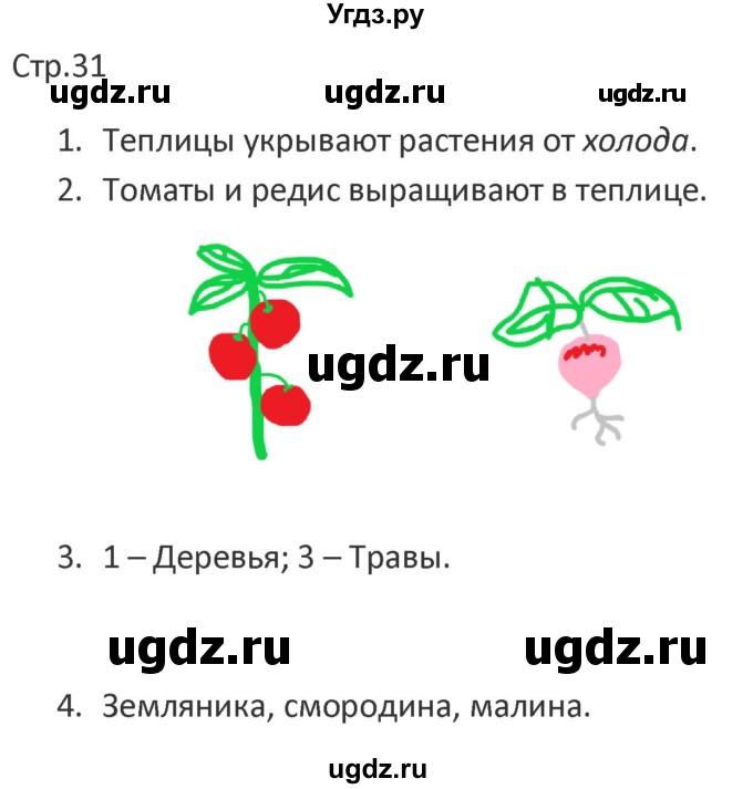 ГДЗ (Решебник) по миру природы и человека 4 класс (рабочая тетрадь) Матвеева Н.Б. / страница / 31