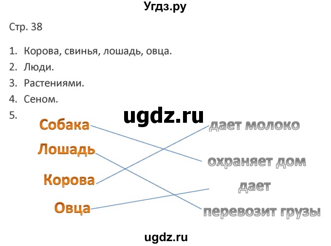 ГДЗ (Решебник) по миру природы и человека 4 класс (рабочая тетрадь) Матвеева Н.Б. / страница / 38