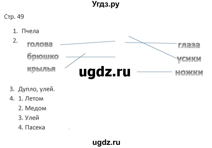 ГДЗ (Решебник) по миру природы и человека 4 класс (рабочая тетрадь) Матвеева Н.Б. / страница / 49