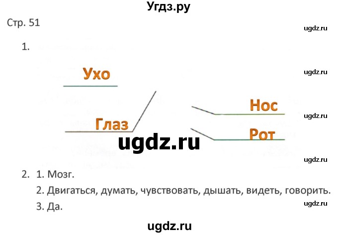 ГДЗ (Решебник) по миру природы и человека 4 класс (рабочая тетрадь) Матвеева Н.Б. / страница / 51