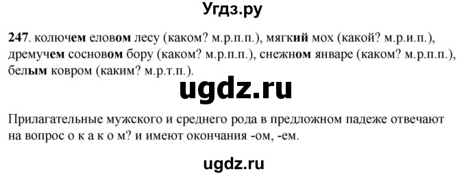 ГДЗ (Решебник) по русскому языку 6 класс Якубовская Э.В. / упражнение / 247