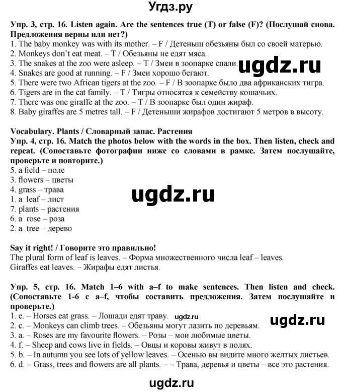 ГДЗ (Решебник) по английскому языку 5 класс Голдштейн Б. / страница / 16(продолжение 3)