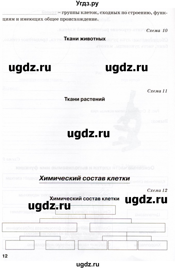 ГДЗ (Тетрадь) по биологии 5 класс (рабочая тетрадь) Бодрова Н.Ф. / страница / 12