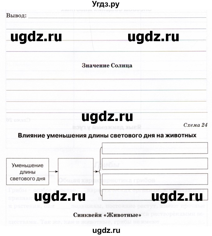 ГДЗ (Тетрадь) по биологии 5 класс (рабочая тетрадь) Бодрова Н.Ф. / страница / 25