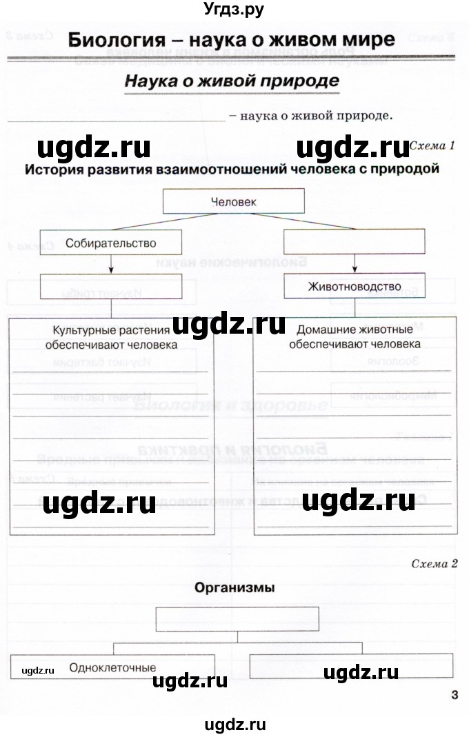 ГДЗ (Тетрадь) по биологии 5 класс (рабочая тетрадь) Бодрова Н.Ф. / страница / 3