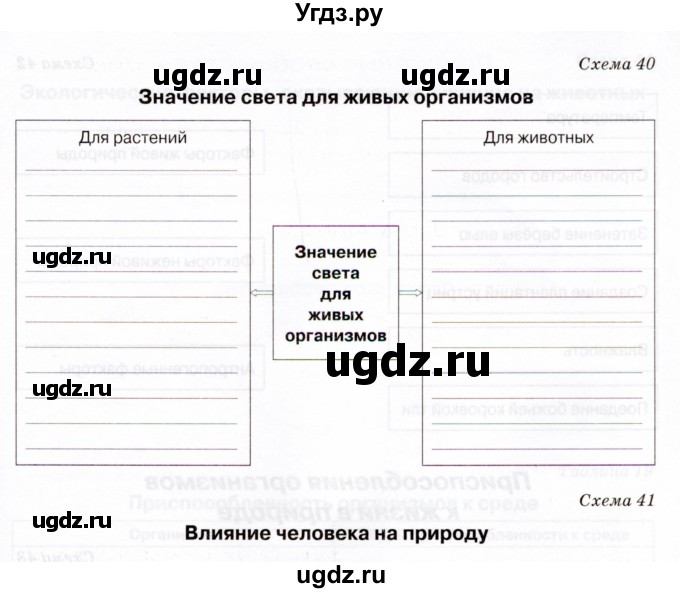 ГДЗ (Тетрадь) по биологии 5 класс (рабочая тетрадь) Бодрова Н.Ф. / страница / 43