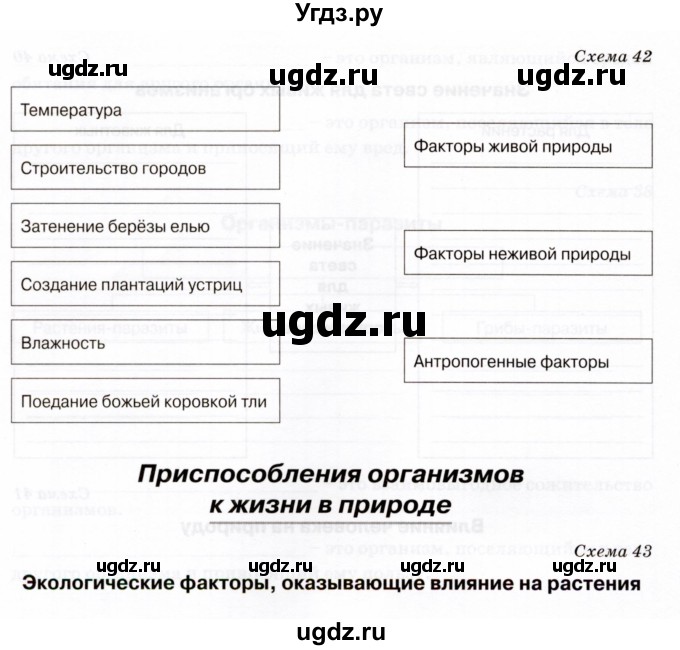 ГДЗ (Тетрадь) по биологии 5 класс (рабочая тетрадь) Бодрова Н.Ф. / страница / 44