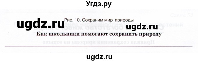 ГДЗ (Тетрадь) по биологии 5 класс (рабочая тетрадь) Бодрова Н.Ф. / страница / 60