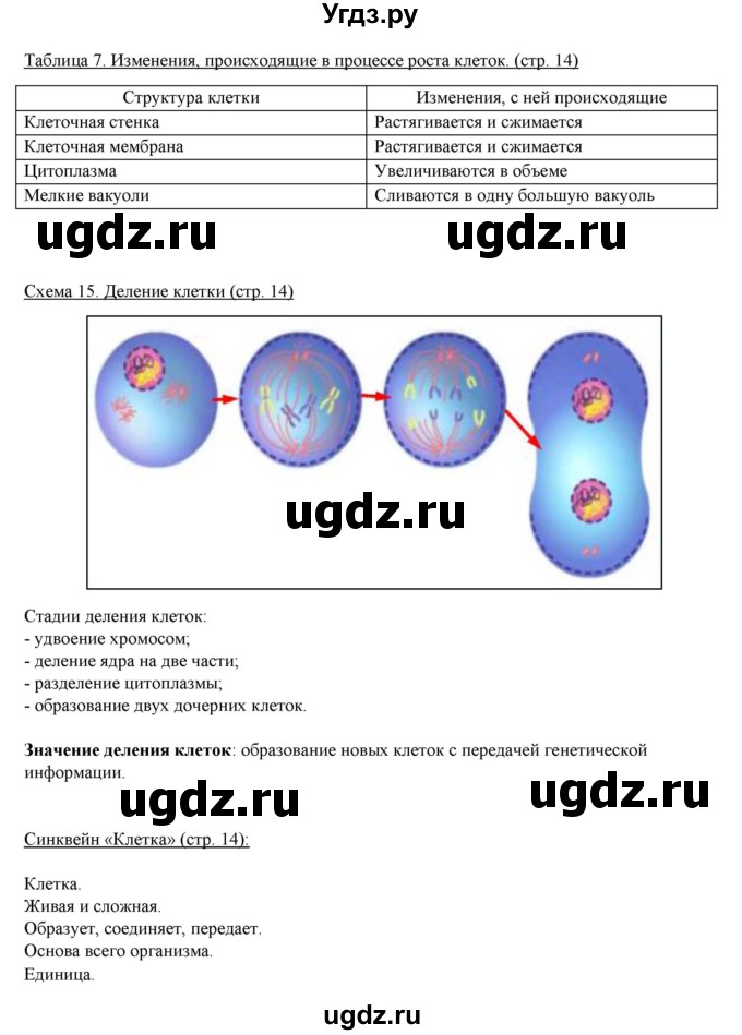 ГДЗ (Решебник) по биологии 5 класс (рабочая тетрадь) Бодрова Н.Ф. / страница / 14