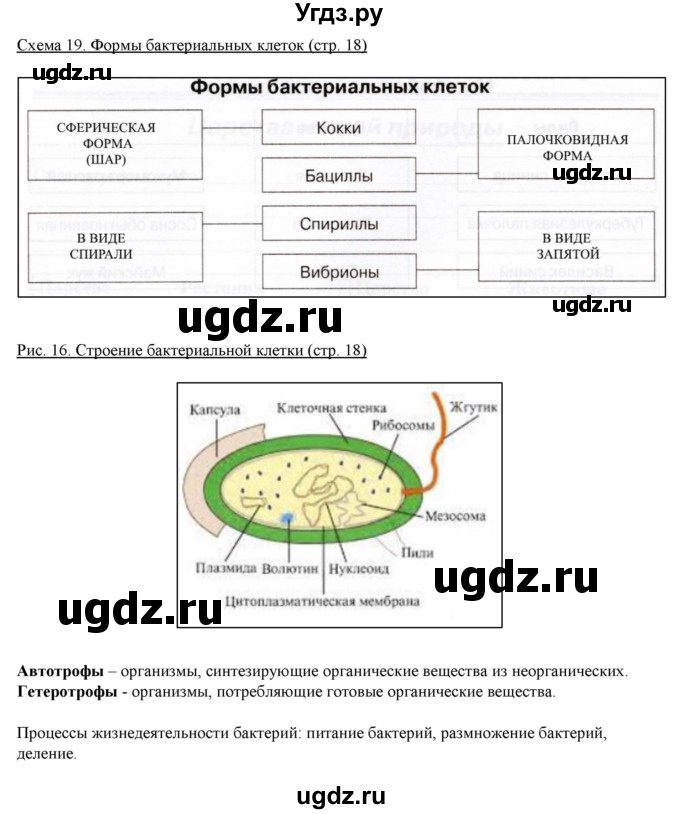 ГДЗ (Решебник) по биологии 5 класс (рабочая тетрадь) Бодрова Н.Ф. / страница / 18