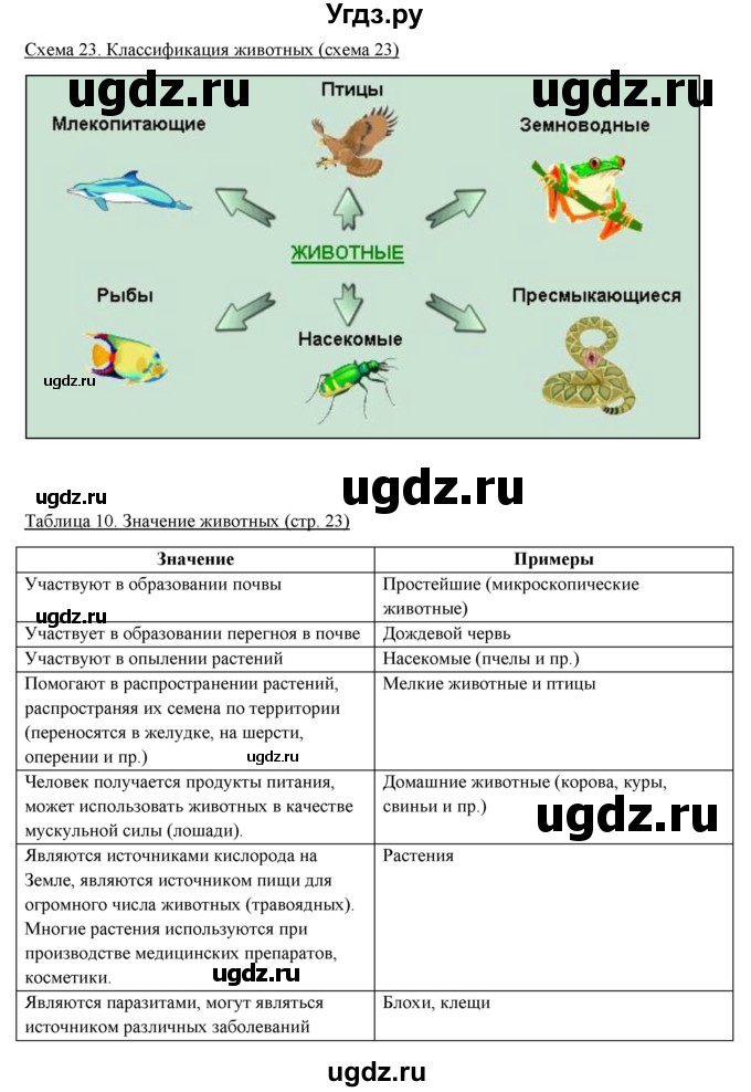 ГДЗ (Решебник) по биологии 5 класс (рабочая тетрадь) Бодрова Н.Ф. / страница / 23