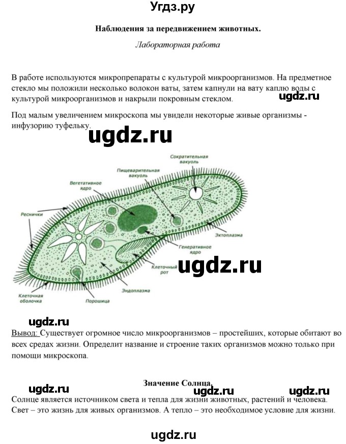 ГДЗ (Решебник) по биологии 5 класс (рабочая тетрадь) Бодрова Н.Ф. / страница / 24