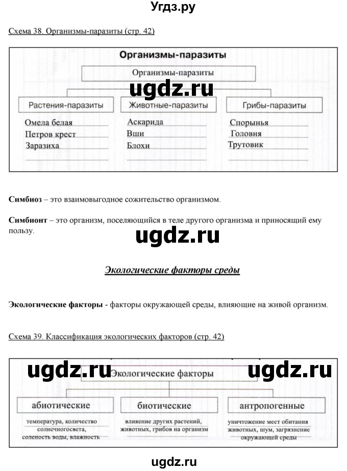 ГДЗ (Решебник) по биологии 5 класс (рабочая тетрадь) Бодрова Н.Ф. / страница / 42