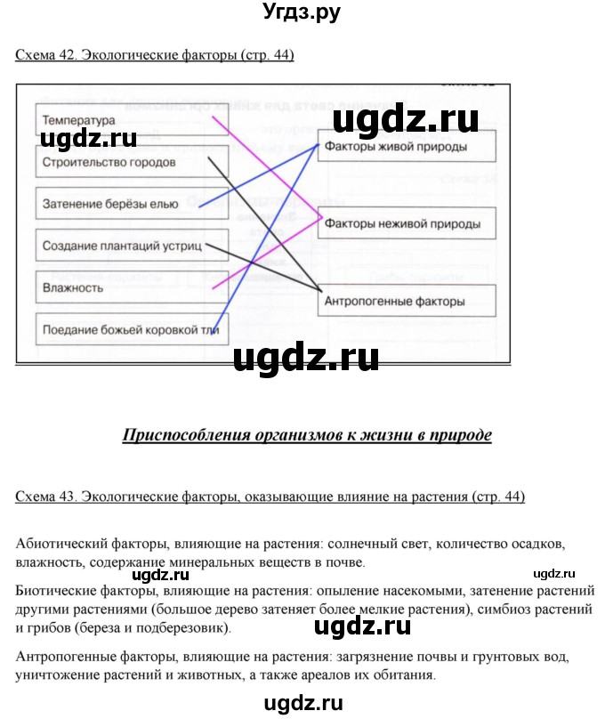 ГДЗ (Решебник) по биологии 5 класс (рабочая тетрадь) Бодрова Н.Ф. / страница / 44