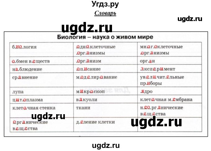 ГДЗ (Решебник) по биологии 5 класс (рабочая тетрадь) Бодрова Н.Ф. / страница / 62