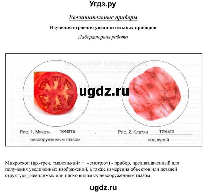 ГДЗ (Решебник) по биологии 5 класс (рабочая тетрадь) Бодрова Н.Ф. / страница / 9(продолжение 2)