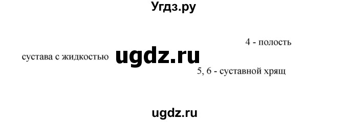 ГДЗ (Решебник) по биологии 8 класс (рабочая тетрадь) В.И. Сивоглазов / параграф 20 (упражнение) / 3(продолжение 2)