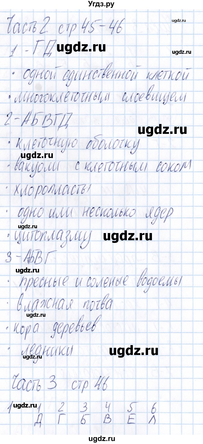 ГДЗ (Решебник) по биологии 5 класс (тесты) В.В. Пасечник / параграф / 13(продолжение 2)