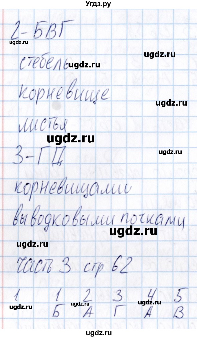 ГДЗ (Решебник) по биологии 5 класс (тесты) В.В. Пасечник / параграф / 18(продолжение 2)