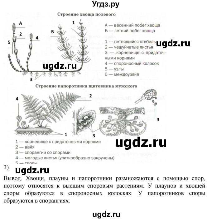 ГДЗ (Решебник) по биологии 7 класс (рабочая тетрадь) Пасечник В.В. / страница / 18(продолжение 4)