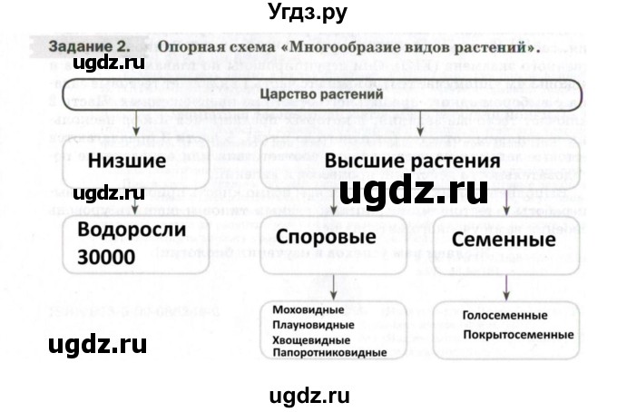 ГДЗ (Решебник) по биологии 7 класс (рабочая тетрадь) Пасечник В.В. / страница / 4(продолжение 2)