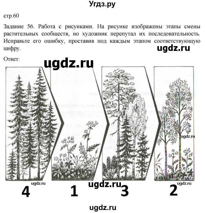 ГДЗ (Решебник) по биологии 7 класс (рабочая тетрадь) Пасечник В.В. / страница / 60