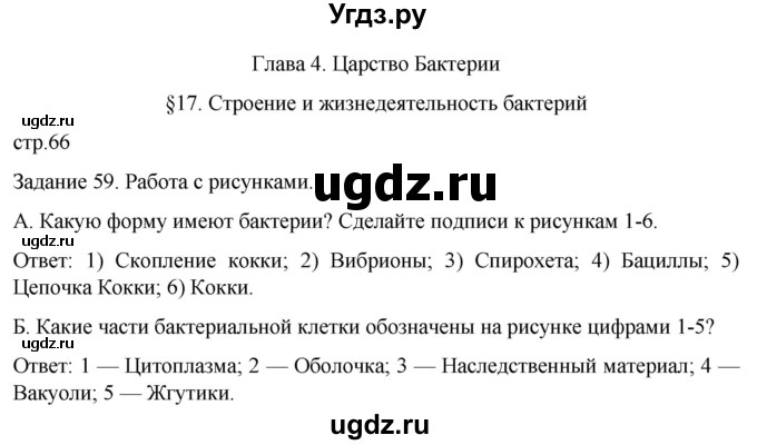 ГДЗ (Решебник) по биологии 7 класс (рабочая тетрадь) Пасечник В.В. / страница / 66