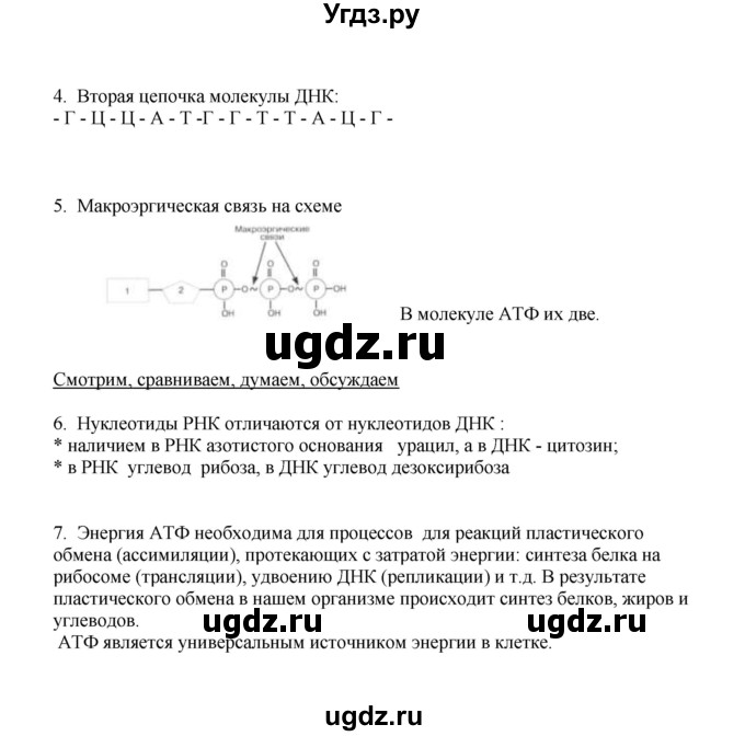 ГДЗ (Решебник) по биологии 9 класс (рабочая тетрадь) Е.К. Касперская / параграф / 12(продолжение 2)