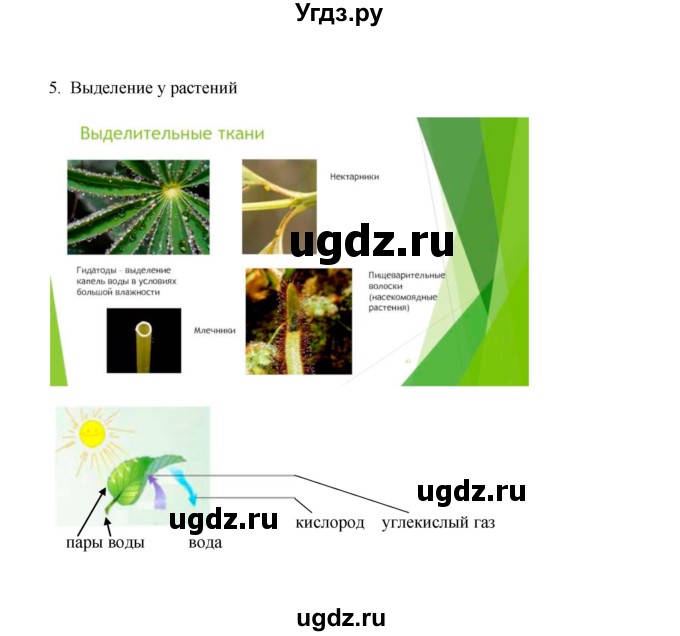 ГДЗ (Решебник) по биологии 9 класс (рабочая тетрадь) Е.К. Касперская / параграф / 16(продолжение 3)