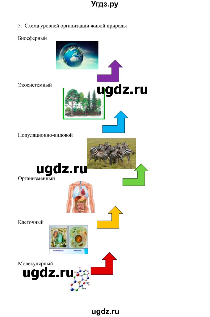 ГДЗ (Решебник) по биологии 9 класс (рабочая тетрадь) Е.К. Касперская / параграф / 2(продолжение 5)