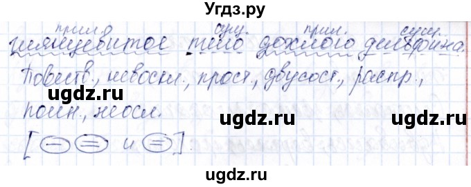 ГДЗ (Решебник) по русскому языку 7 класс (рабочая тетрадь) Малюшкин А. Б. / текст / 6(продолжение 6)