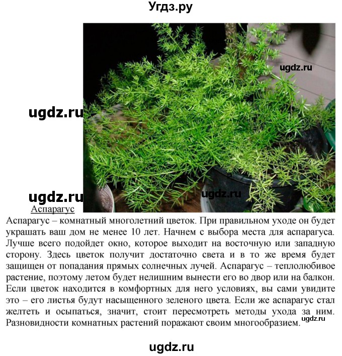 ГДЗ (Решебник) по технологии 7 класс Глозман Е.С. / §58 / задание / 1(продолжение 4)