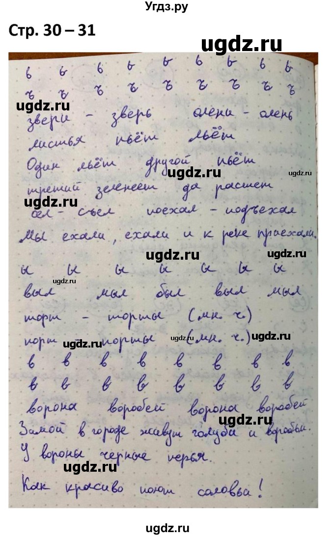 ГДЗ (Решебник) по русскому языку 1 класс (рабочая тетрадь Пиши Красиво) Климанова Л.Ф. / страница / 30-31