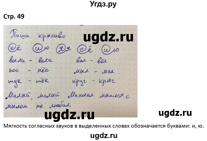 ГДЗ (Решебник) по русскому языку 1 класс (рабочая тетрадь Пиши Красиво) Климанова Л.Ф. / страница / 49