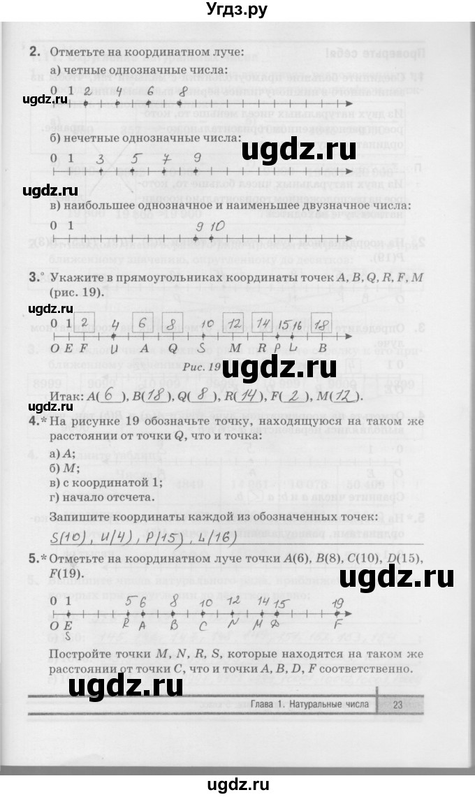 ГДЗ (Решебник) по математике 5 класс (рабочая тетрадь) Е.П. Кузнецова / часть 1. страница / 23
