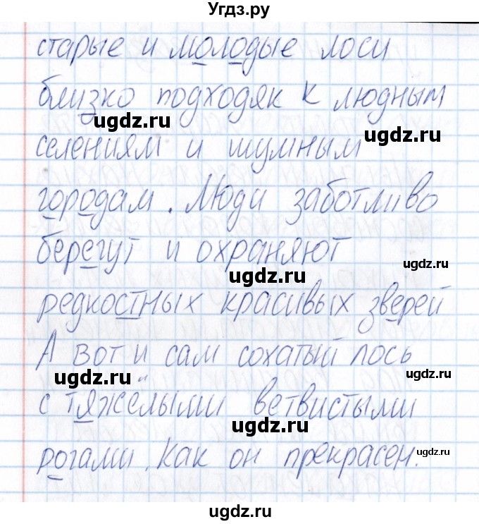 ГДЗ (Решебник) по русскому языку 3 класс (Тематический контроль) В.Т. Голубь / найди и исправь ошибки (упражнение) / 12(продолжение 2)