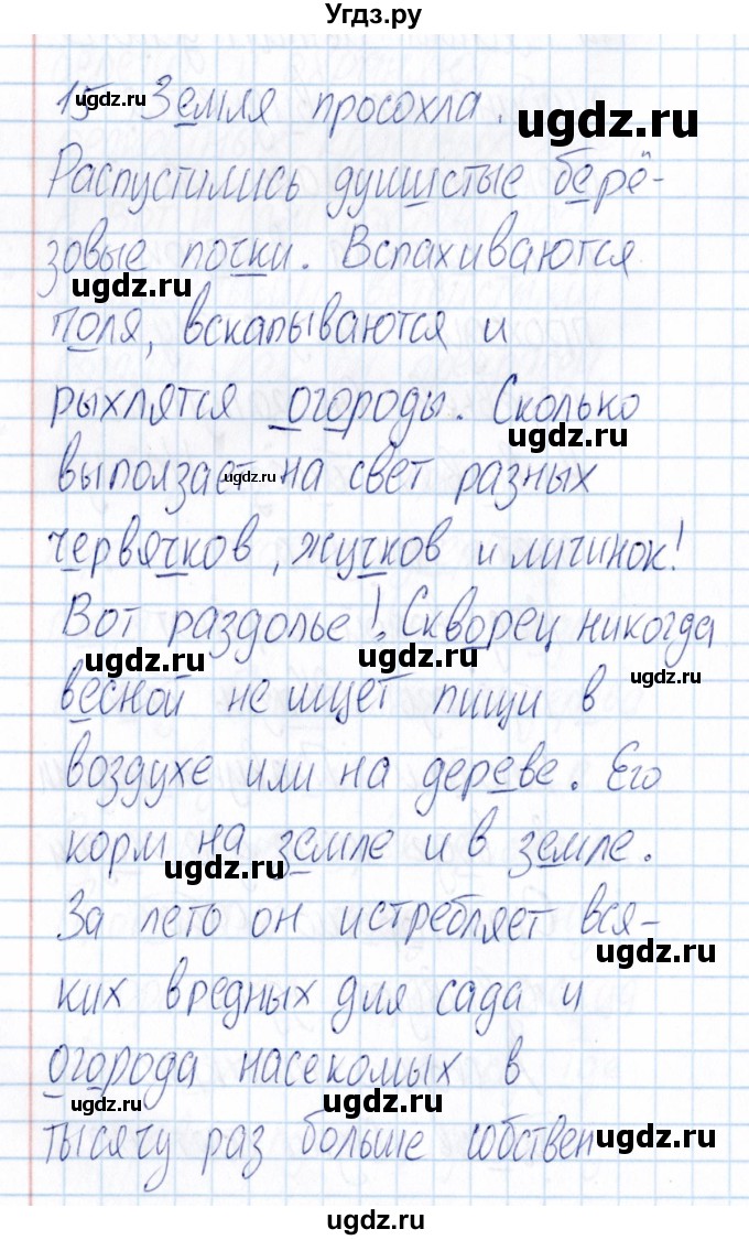 ГДЗ (Решебник) по русскому языку 3 класс (Тематический контроль) В.Т. Голубь / найди и исправь ошибки (упражнение) / 15