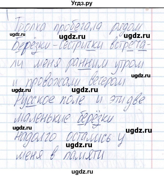 ГДЗ (Решебник) по русскому языку 3 класс (Тематический контроль) В.Т. Голубь / найди и исправь ошибки (упражнение) / 17(продолжение 2)