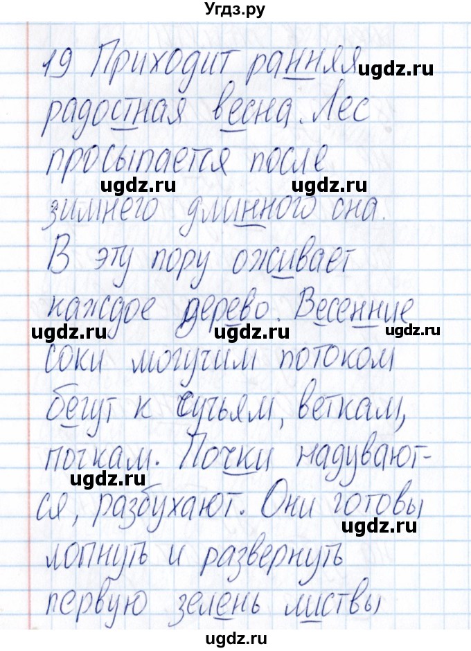 ГДЗ (Решебник) по русскому языку 3 класс (Тематический контроль) В.Т. Голубь / найди и исправь ошибки (упражнение) / 19