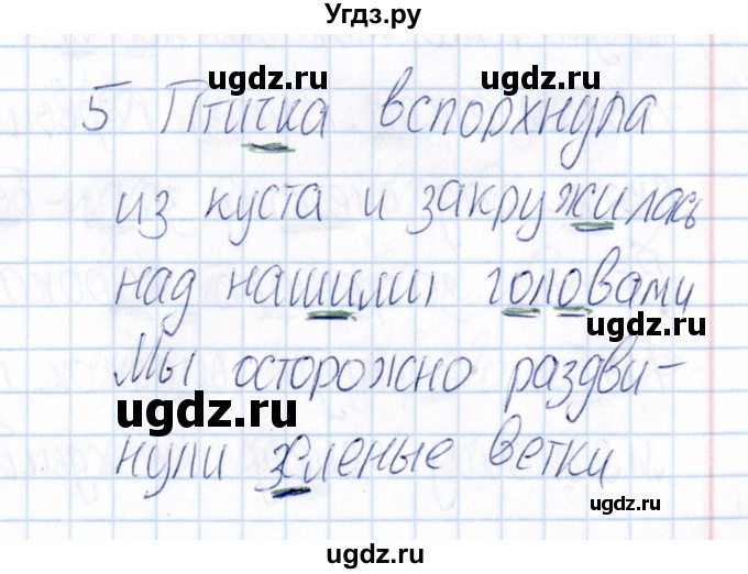 ГДЗ (Решебник) по русскому языку 3 класс (Тематический контроль) В.Т. Голубь / найди и исправь ошибки (упражнение) / 5