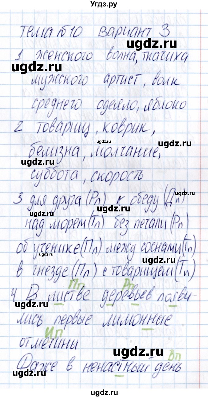 ГДЗ (Решебник) по русскому языку 3 класс (Тематический контроль) В.Т. Голубь / тема 10 (вариант) / 3