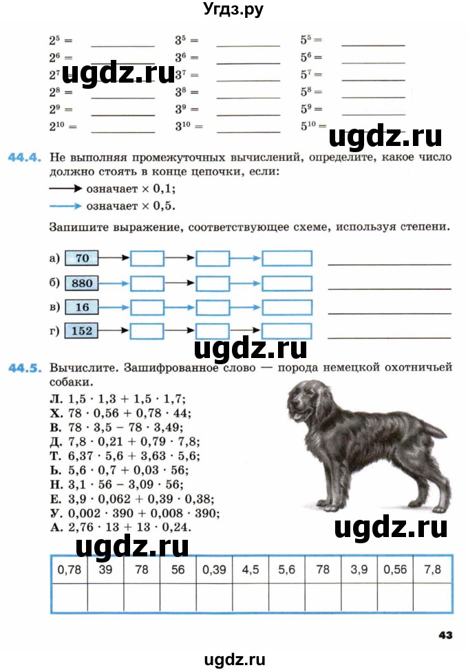 ГДЗ (Тетрадь) по математике 5 класс (рабочая тетрадь) Зубарева И.И. / тетрадь №2. страница / 43