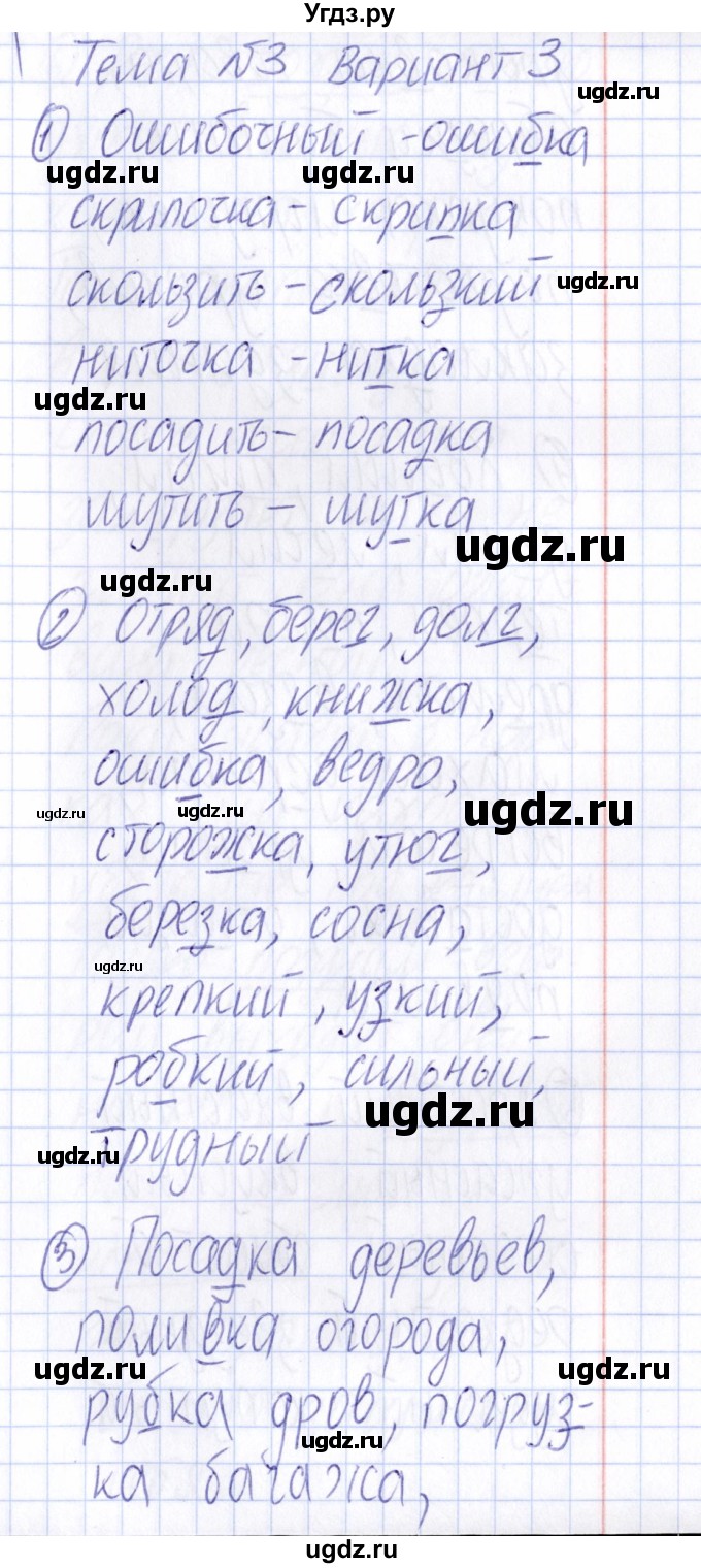 ГДЗ (Решебник) по русскому языку 4 класс (Тематический контроль) В.Т. Голубь / тема 3 (вариант) / 3