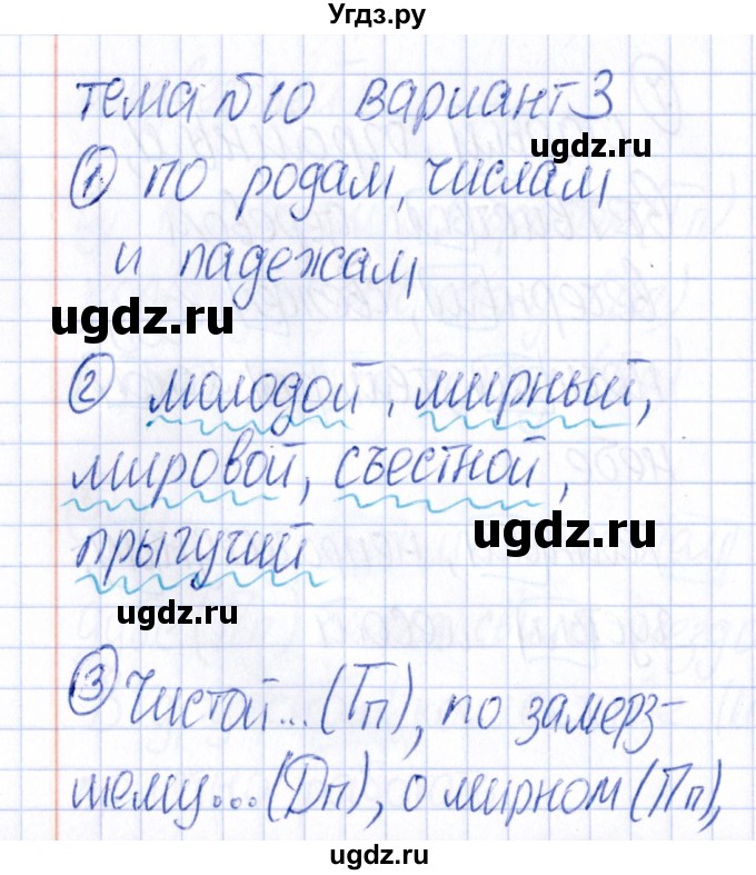 ГДЗ (Решебник) по русскому языку 4 класс (Тематический контроль) В.Т. Голубь / тема 10 (вариант) / 3