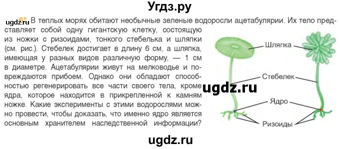 ГДЗ (Учебник) по биологии 11 класс Дашков М.Л. / §14 / 6