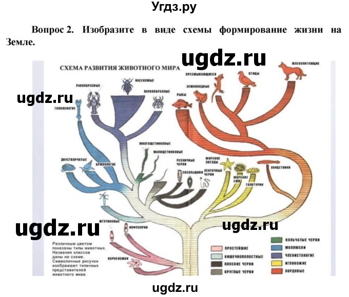 ГДЗ (Решебник) по биологии 10 класс Асанов Н.Г. / страница / 207(продолжение 2)