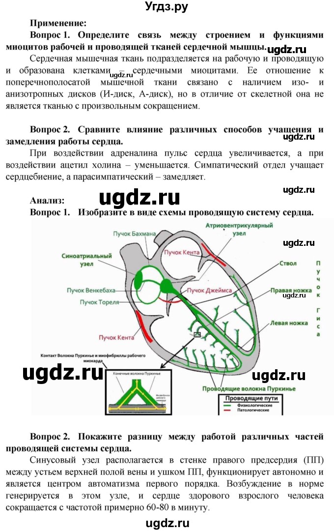 ГДЗ (Решебник) по биологии 10 класс Асанов Н.Г. / страница / 249(продолжение 2)