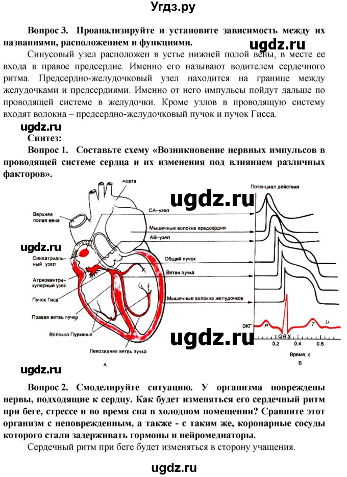 ГДЗ (Решебник) по биологии 10 класс Асанов Н.Г. / страница / 249(продолжение 3)